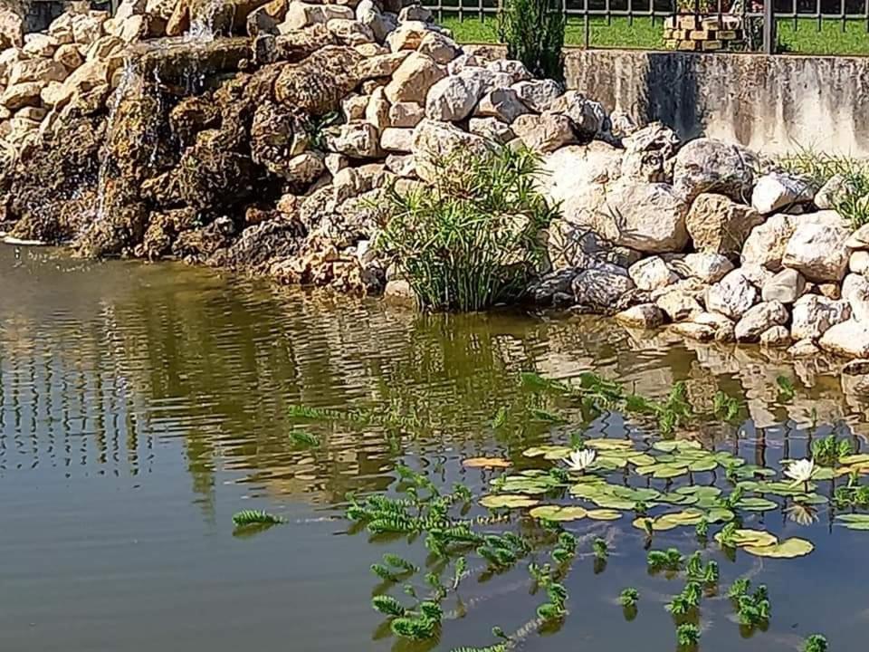 Villa Lucilla 알타빌라사일렌티나 외부 사진