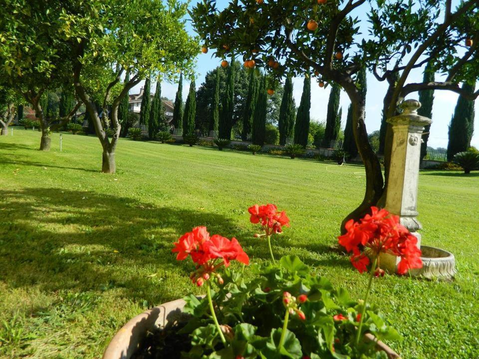 Villa Lucilla 알타빌라사일렌티나 외부 사진