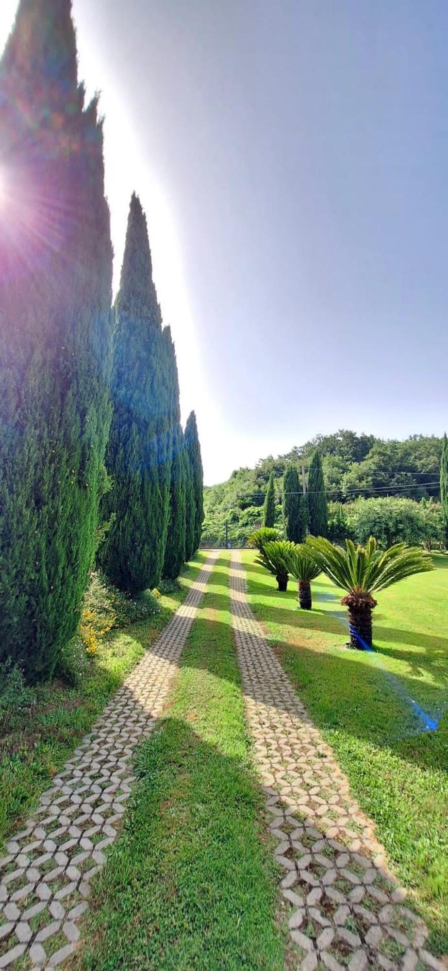 Villa Lucilla 알타빌라사일렌티나 외부 사진
