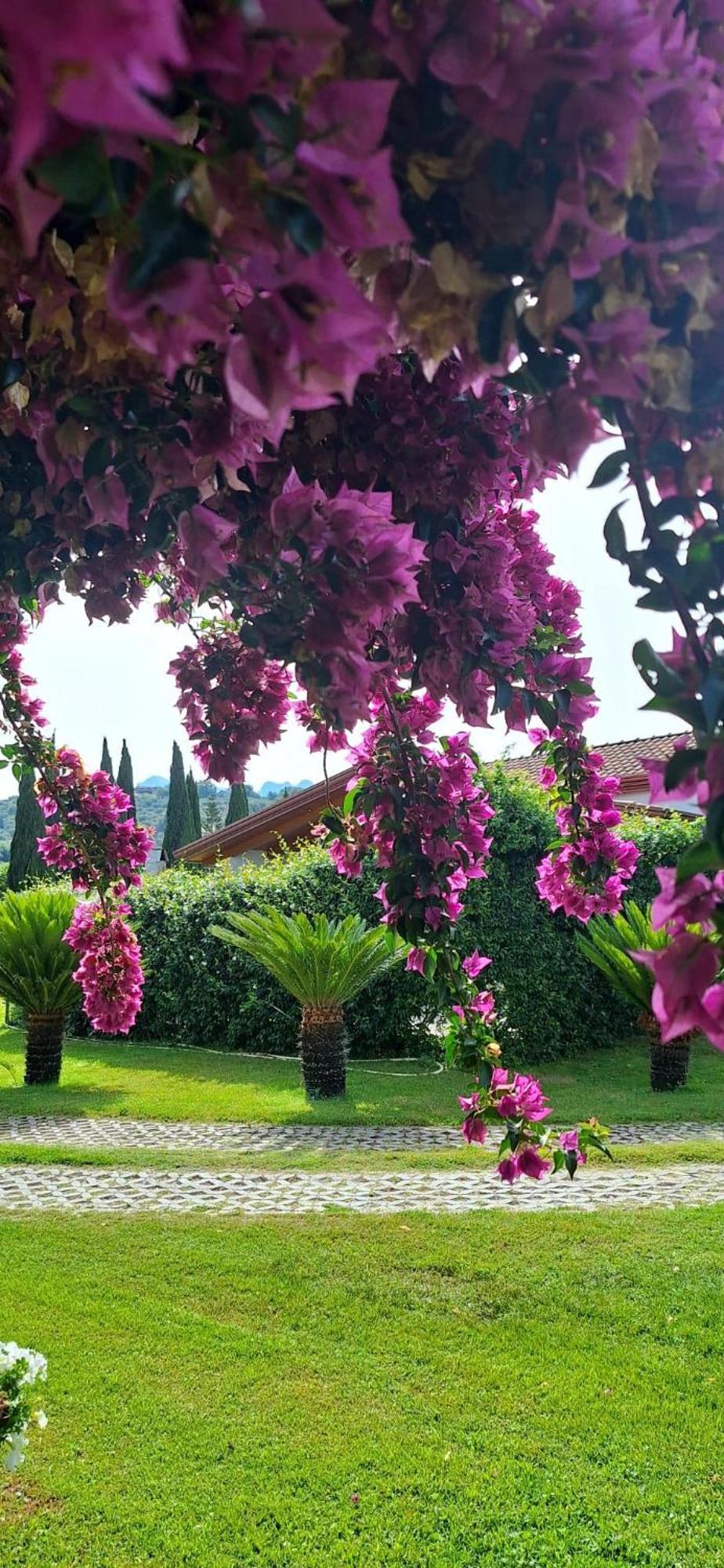 Villa Lucilla 알타빌라사일렌티나 외부 사진