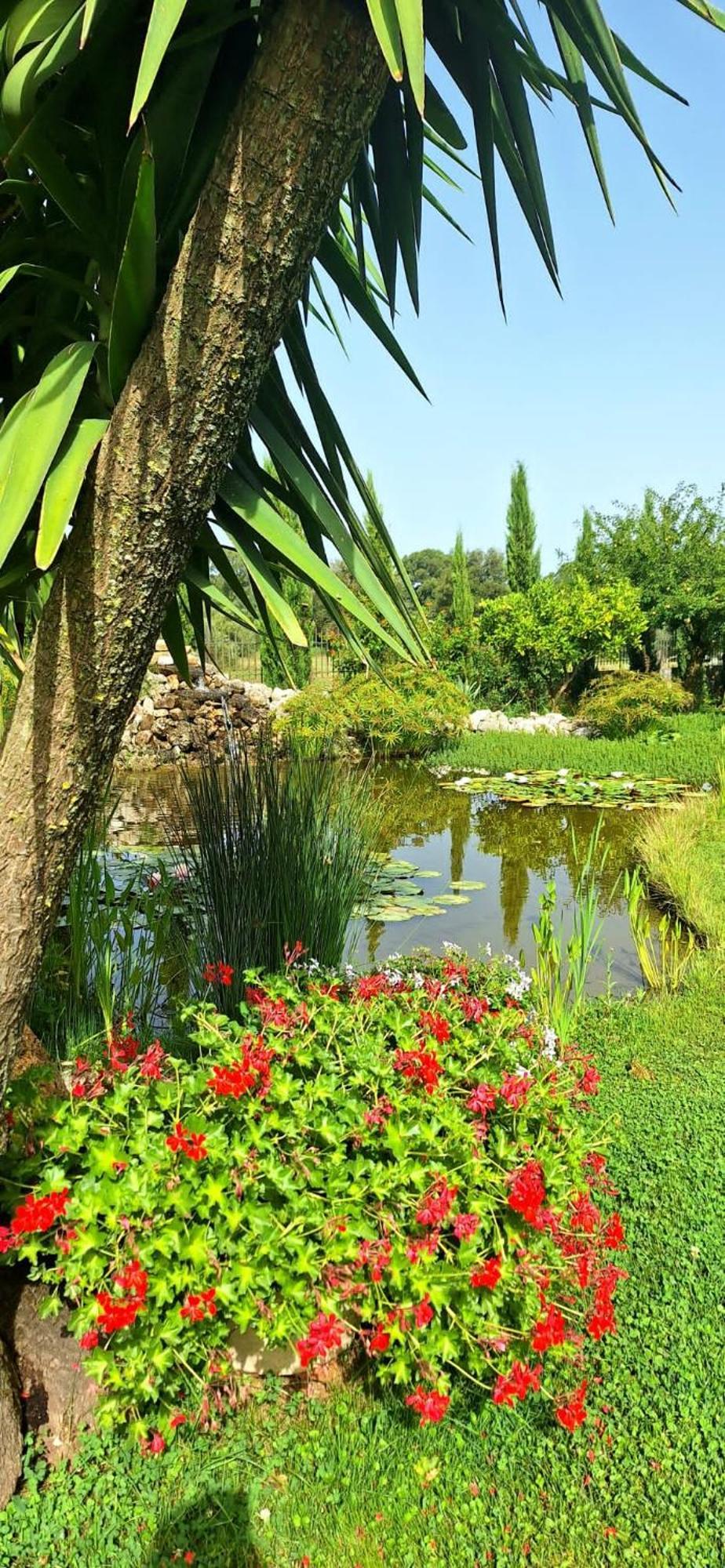 Villa Lucilla 알타빌라사일렌티나 외부 사진
